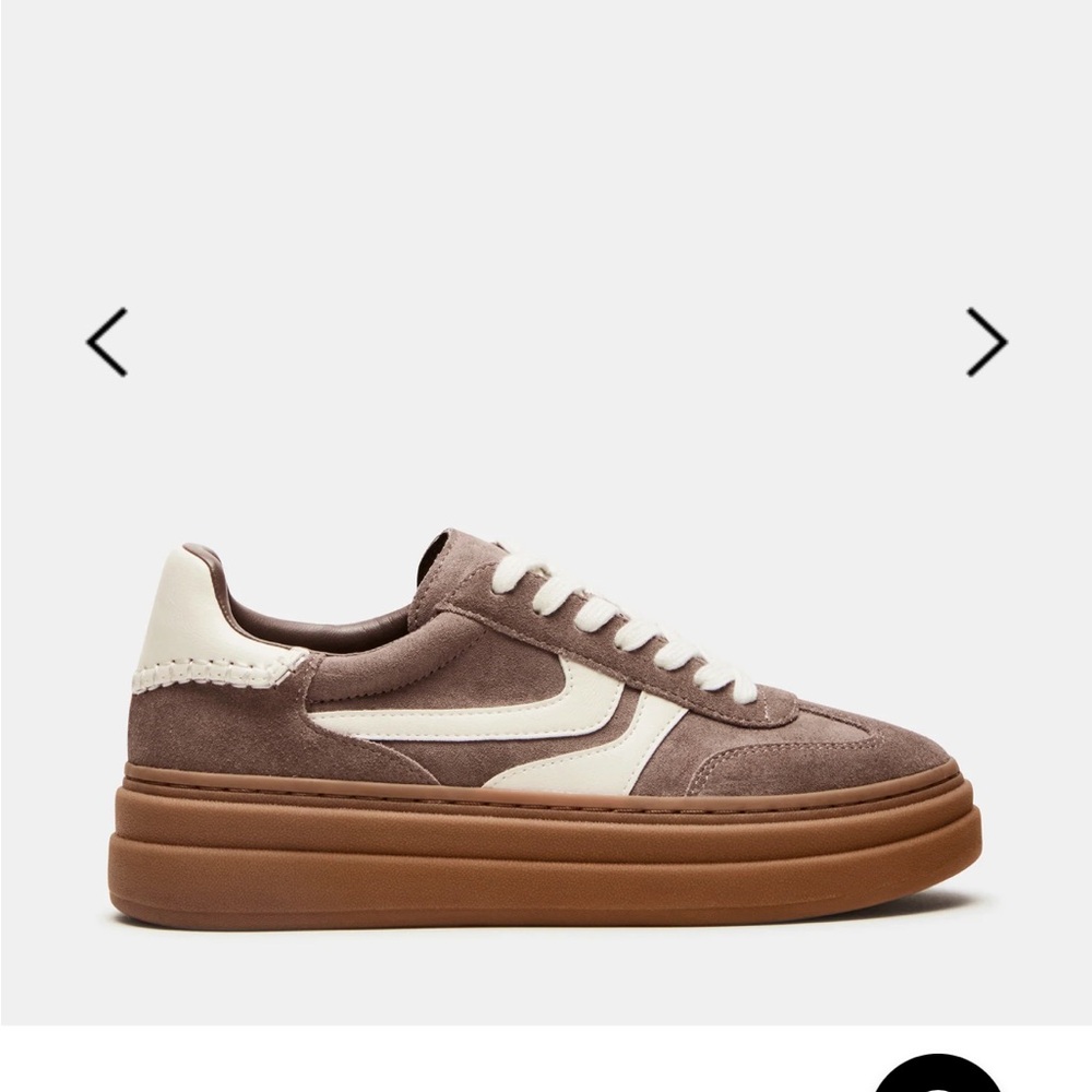 Steve Madden Dodge Espresso Sneaker